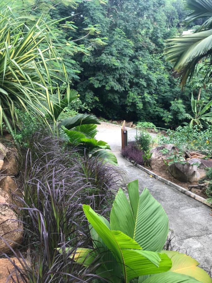 Rock And Palm Self Catering * Baie Lazare (Mahe)